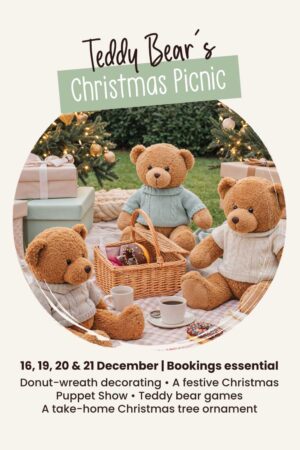 Teddy Bear Christmas Play Session
